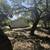 Beautiful Home - South Side of Canyon Lake - Owner Financing Available 9 thumbnail