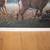 Kim Norlien - Field Of Dreams Deer 25 x 16.6 Image Size 1 Inch Name 3 thumbnail