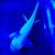Axolotl 3 thumbnail