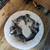 Free Tabby Kittens fully vaccinated 7 thumbnail