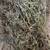 Alfalfa Grass Hay 6 thumbnail
