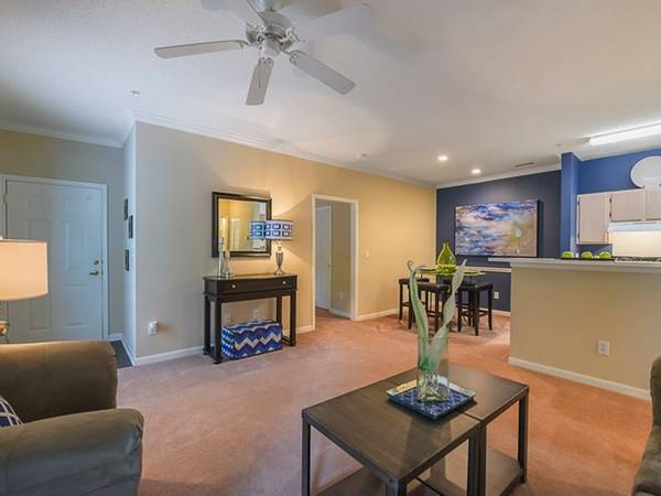 $1,215 / 1br - 708ft2 - excelente apartamento de 1 habitación en segundo piso, obtén un mes gratis con arrendamiento de 12 meses (Asheville - East Asheville)64029206557057123