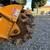 2016 Bandit 2650 Stump Grinder with Only 1283 hours!!! #4971 8 thumbnail