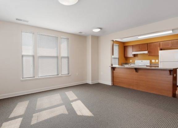 $1,145 / 3br - 3/BD, in Buffalo NY, Patio/Balconies (224 Niagara St, Buffalo, NY)63925203420674122