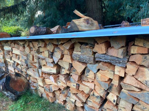 Dry seasoned firewood ready to burn 1