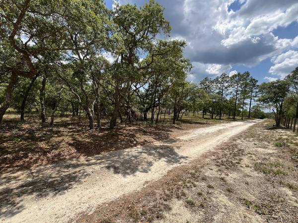 $185,000 10 Acres Land For Sale  - Levy County (Dunnellon, FL)63901320646786122