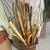 Walking Sticks & Canes 1 thumbnail