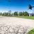 Perfect floor plan 3 bed 2 bath apt home for Aug move in! APPLY! 10 thumbnail
