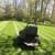 🌿 Spring Landscaping Services Available! 🌿  We are now scheduling for the 18 thumbnail