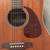 Seagull S6 Mahogany Deluxe A/E Acoustic Electric Guitar Fender Case 4 thumbnail