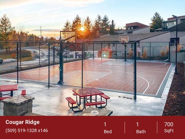 $1,099 / 1hab - 700ft2 - Unidades bien aisladas, ¡ideal para la factura de electricidad!, aire acondicionado (2024 NE Terre View Dr. Pullman, WA. 99163)63689276698497123