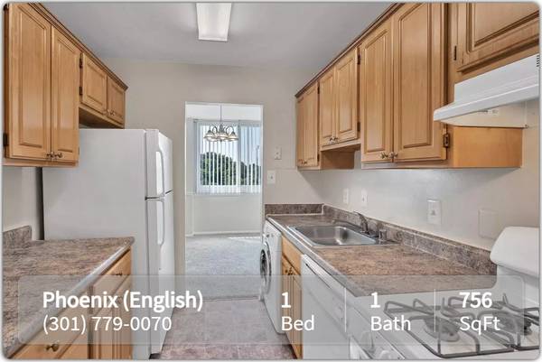 $1,330 / 1br - 756ft2 - From Morning Coffee to Evening Relaxation: Your Spot, Perfected! (Bladensburg - Bladensburg Waterfront Park)64040197032706120
