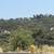 19.74 Acres Allowed Multiple Uses - Finance with only $50K Down! 2 thumbnail