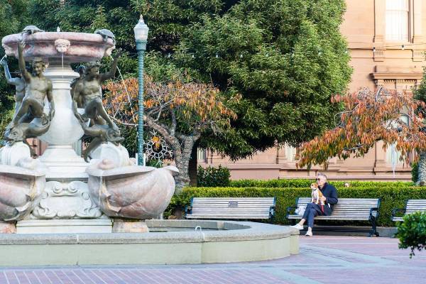 $4,850 / 1br - 650ft2 - Sauna, Large Closets, Free Weights, Package Receiving (nob hill)63847329484675122