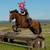 7 year old all around appendix quarter horse 5 thumbnail