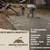 Concrete work 13 thumbnail