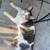 Lost Cat 3 thumbnail