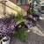 Biggest Best Backyard Multi Family Sale 12 thumbnail