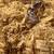 2 Anery Sand Boas 3 thumbnail