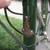 Rare 1960's womans Raleigh Bike 4 thumbnail