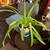 Plants 3 thumbnail
