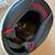 Like New Shoei RF-1200 medium helmet w/ 2 face shields and helmet lock 4 thumbnail