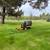 VILLANUEVA BROS LANDSCAPE MAINTENANCE AND CONSTRUCTION LLC 13 thumbnail