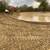 Dozer work 2 thumbnail