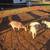 Fainting goats 2 thumbnail