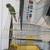 A conure parrot is ready to go 2 thumbnail