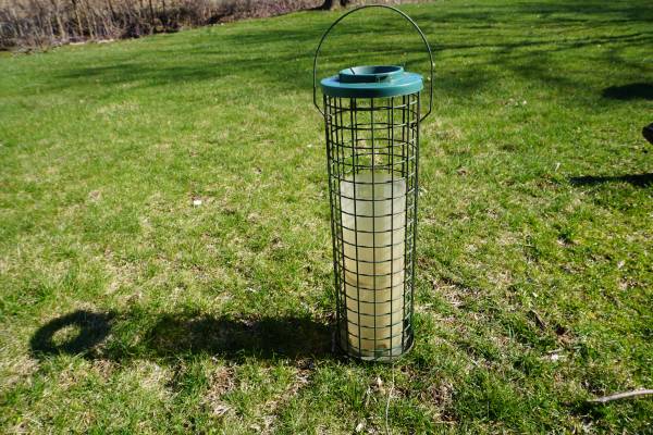 Bird Feeder For Your Backyard 1