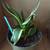 Birdnest Sansevieria House Plant #4 3 thumbnail