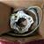 Corvette 25th Edition steering column switch 1 thumbnail