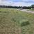 Alfalfa Hay 1st Cut $10.00 2 thumbnail