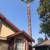 tree , stump/root removal & palm tree services! 6 thumbnail