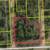 14 Wooded Lots in Idlewild. Nearly 1 Acre w/ Road Frontage! $14,000 2 thumbnail