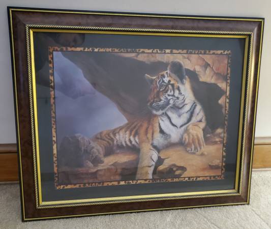 Tiger Picture 1