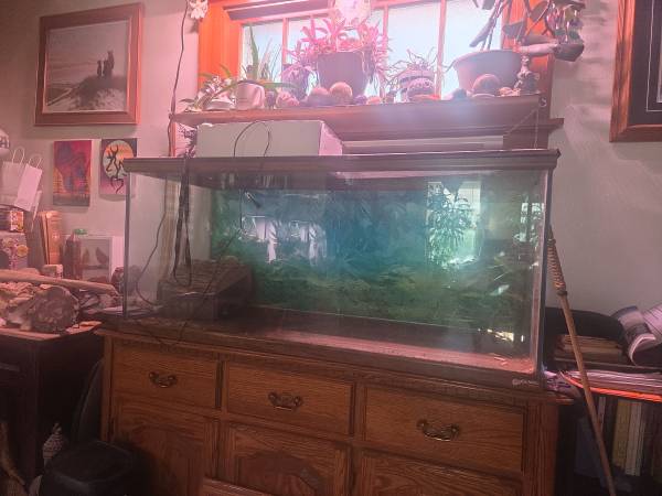 Acuario para reptiles de 95 galones (Milwaukee)