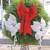 Royal Princess Pine Christmas Wreaths 6 thumbnail