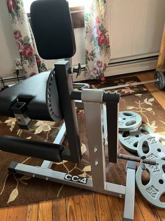 leg extension/curl machine 1