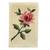 Handmade Classic Rose Latch Hook Rug, Framed 40" x 28" 1 thumbnail