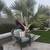 775.00 Estrella Mountain Ranch 7 thumbnail