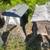 Top Bar Beehives 1 thumbnail