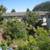 El Cerrito two bedroom plus  back yard lg  adu  duplex yard like SFH 15 thumbnail