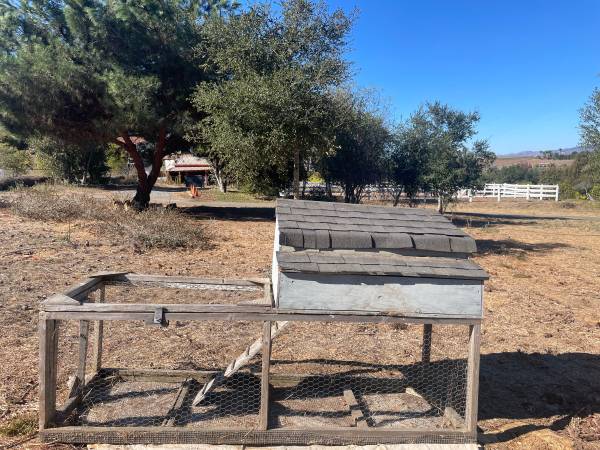 8’ long x 34” wide chicken coop run with ladder & nesting box access 1