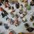 Huge Estate Sale 16 thumbnail