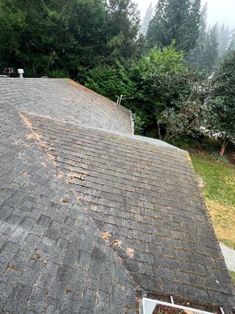 J&M  GUTTER CLEANING, ROOF CLEANING, 1