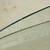 Mid Century Modern Adrian Pearsall Bowtie Walnut Glass Coffee Table 23 thumbnail