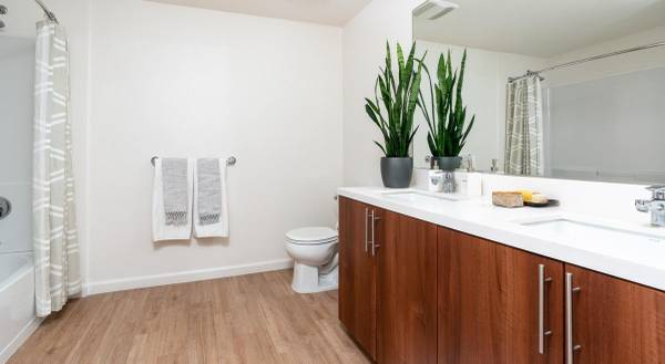 $2,815 / 1br - 538ft2 - Pool, Sun Deck and Spa, Package Lockers, Near Public Transit (san jose downtown)63868153933315124