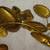 Brass Seashell Wreath 11"diam $195obo adjustable 3 thumbnail